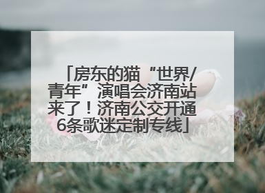 房东的猫“世界/青年”演唱会济南站来了！济南公交开通6条歌迷定制专线