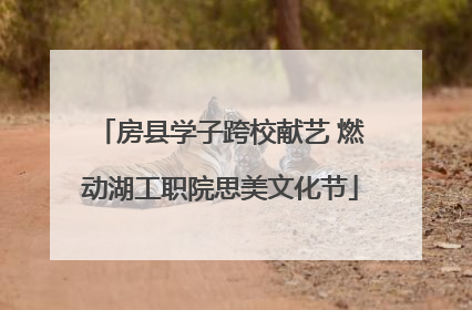 房县学子跨校献艺 燃动湖工职院思美文化节
