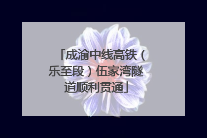 成渝中线高铁（乐至段）伍家湾隧道顺利贯通