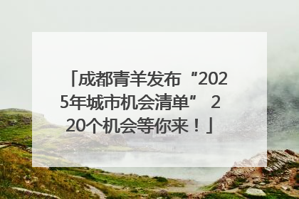 成都青羊发布“2025年城市机会清单” 220个机会等你来！