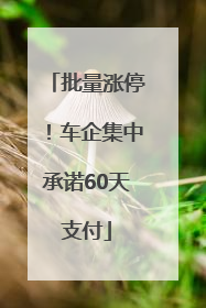 批量涨停！车企集中承诺60天支付