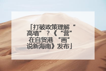 打破政策理解“高墙”？《“营”在自贸港 “画”说新海南》发布