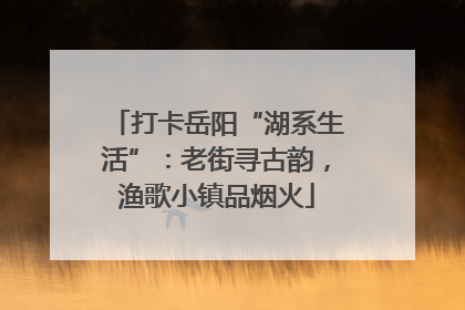 打卡岳阳“湖系生活”：老街寻古韵，渔歌小镇品烟火