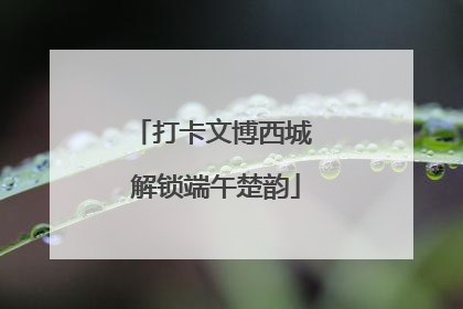 打卡文博西城 解锁端午楚韵