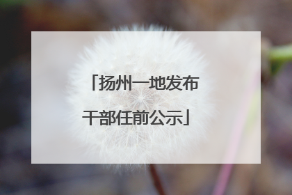 扬州一地发布干部任前公示