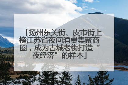 扬州东关街、皮市街上榜江苏省夜间消费集聚商圈，成为古城老街打造“夜经济”的样本