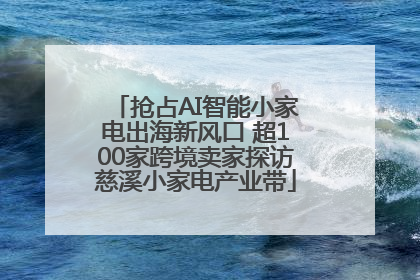 抢占AI智能小家电出海新风口 超100家跨境卖家探访慈溪小家电产业带