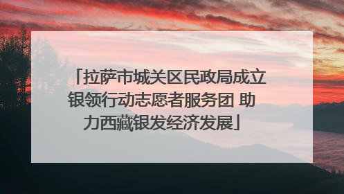 拉萨市城关区民政局成立银领行动志愿者服务团 助力西藏银发经济发展