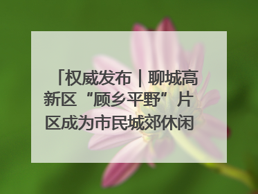 权威发布｜聊城高新区“顾乡平野”片区成为市民城郊休闲全新目的地