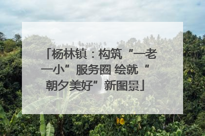 杨林镇：构筑“一老一小”服务圈 绘就“朝夕美好”新图景