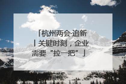 杭州两会·追新丨关键时刻，企业需要“拉一把”