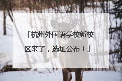杭州外国语学校新校区来了，选址公布！