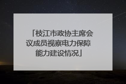 枝江市政协主席会议成员视察电力保障能力建设情况