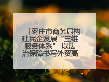枣庄市商务局构建民企发展“三维服务体系” 以法治保障书写外贸高质量答卷