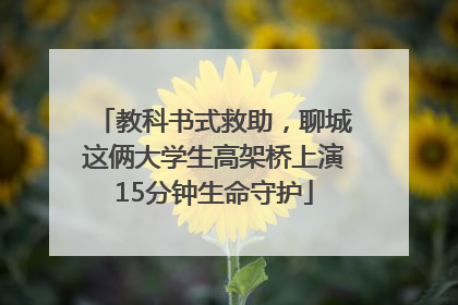教科书式救助，聊城这俩大学生高架桥上演15分钟生命守护