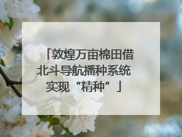 敦煌万亩棉田借北斗导航播种系统实现“精种”