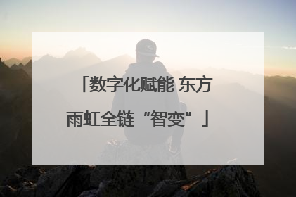 数字化赋能 东方雨虹全链“智变”