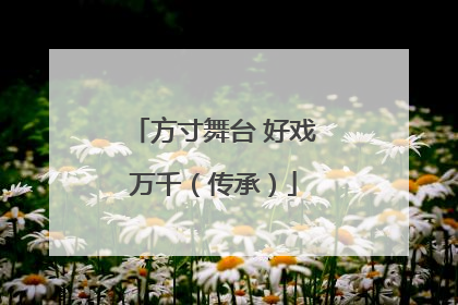 方寸舞台 好戏万千（传承）
