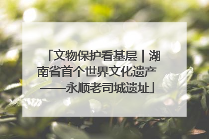 文物保护看基层｜湖南省首个世界文化遗产——永顺老司城遗址