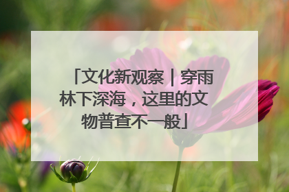 文化新观察｜穿雨林下深海，这里的文物普查不一般