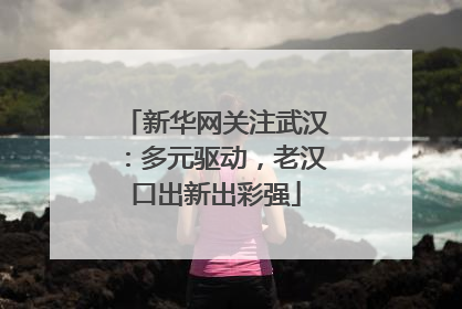 新华网关注武汉：多元驱动，老汉口出新出彩强