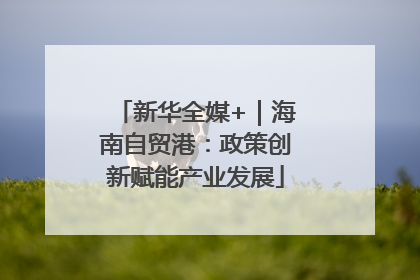 新华全媒+｜海南自贸港：政策创新赋能产业发展