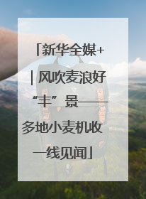 新华全媒+｜风吹麦浪好“丰”景——多地小麦机收一线见闻