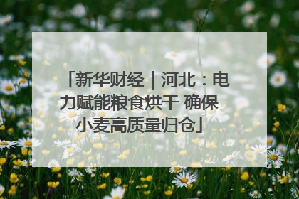 新华财经｜河北：电力赋能粮食烘干 确保小麦高质量归仓