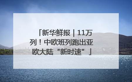 新华鲜报｜11万列！中欧班列跑出亚欧大陆“新时速”