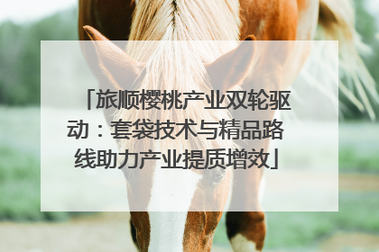 旅顺樱桃产业双轮驱动：套袋技术与精品路线助力产业提质增效
