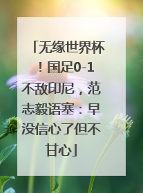无缘世界杯！国足0-1不敌印尼，范志毅语塞：早没信心了但不甘心
