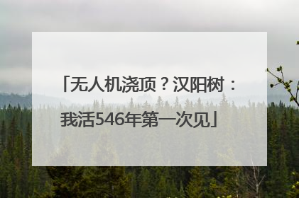 无人机浇顶？汉阳树：我活546年第一次见