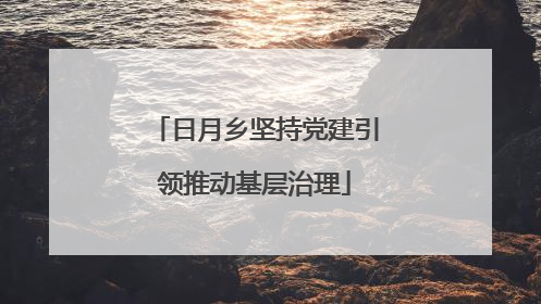 日月乡坚持党建引领推动基层治理