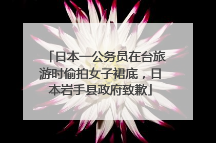 日本一公务员在台旅游时偷拍女子裙底，日本岩手县政府致歉