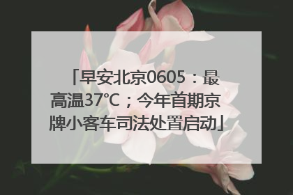 早安北京0605：最高温37℃；今年首期京牌小客车司法处置启动