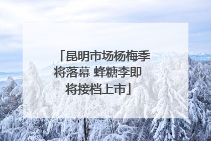 昆明市场杨梅季将落幕 蜂糖李即将接档上市