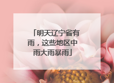 明天辽宁省有雨，这些地区中雨大雨暴雨
