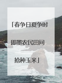 春争日夏争时 即墨农民田间抢种玉米