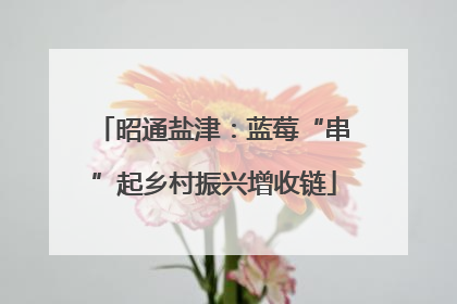 昭通盐津：蓝莓“串”起乡村振兴增收链