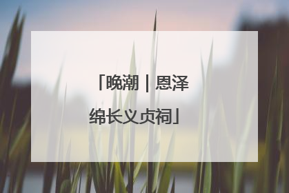 晚潮｜恩泽绵长义贞祠