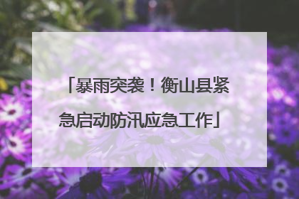 暴雨突袭！衡山县紧急启动防汛应急工作