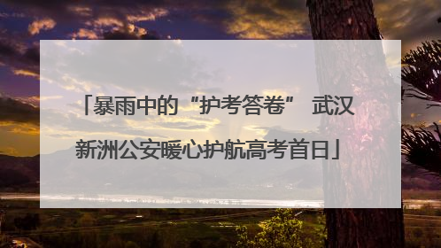 暴雨中的“护考答卷” 武汉新洲公安暖心护航高考首日