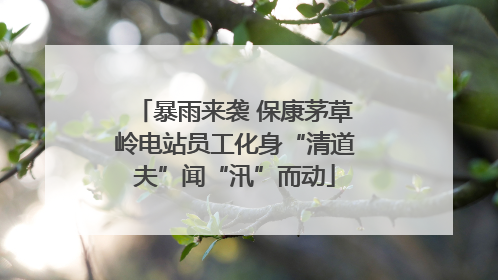 暴雨来袭 保康茅草岭电站员工化身“清道夫”闻“汛”而动