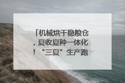 机械烘干稳粮仓，夏收夏种一体化！“三夏”生产跑出加速度｜麦报