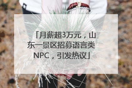 月薪超3万元，山东一景区招募语言类NPC，引发热议