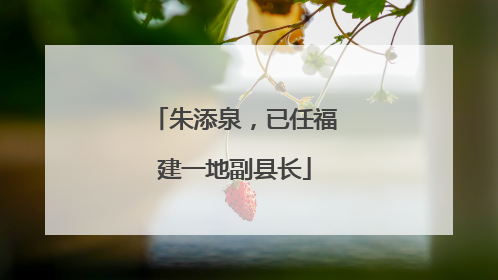 朱添泉，已任福建一地副县长
