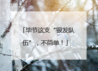 毕节这支“银发队伍”，不简单！