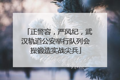 正警容，严风纪，武汉轨道公安举行队列会操锻造实战尖兵