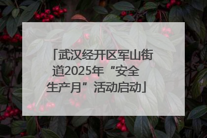 武汉经开区军山街道2025年“安全生产月”活动启动
