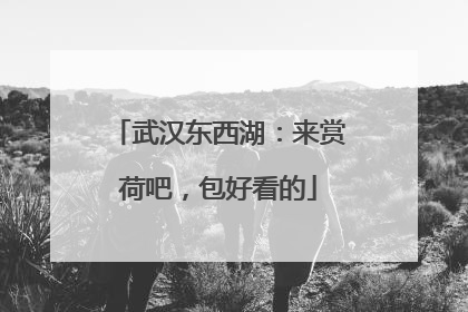 武汉东西湖：来赏荷吧，包好看的